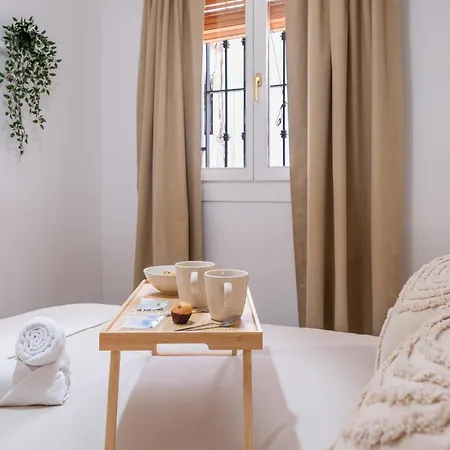 Apartamento Mrs El Rinconcito Del Albaicin Parking Incluido *